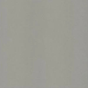 Gạch Lát Nền Taicera Chống Trơn 400x400MM G49001