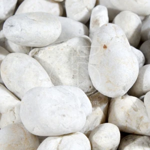 Sỏi biển tự nhiên trắng