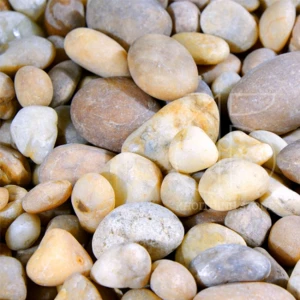 Sỏi tự nhiên vàng