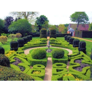 Cảnh Quan Sân Vườn Biệt Thự Tiểu Cảnh Cây Xanh