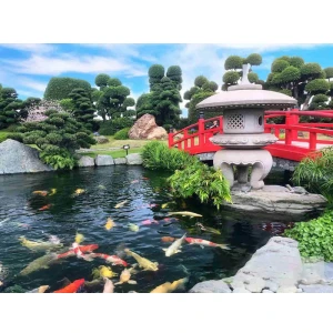 Hồ Cá Đẹp Cho Sân Vườn Resort