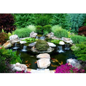 Hồ Cá Koi Đẹp Sân Vườn Resort