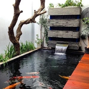 Hồ Cá Koi Sân Thượng Nhà Phố