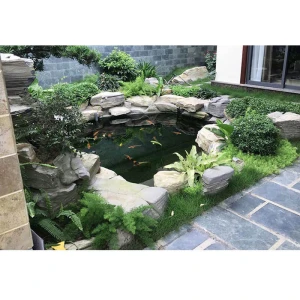 Hồ Koi Trước Nhà Phố, Nhà Ống