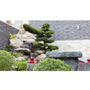 Hòn Nam Bộ Sân Thượng Resort