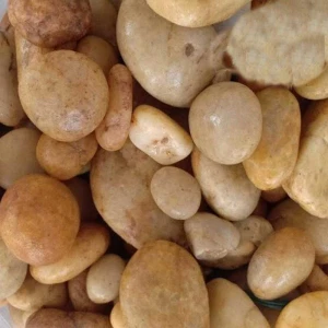 Sỏi Vàng Tự Nhiên