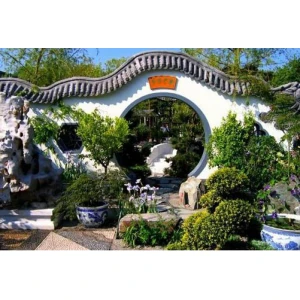 Tiểu Cảnh Bonsai Trung Quốc Cho Khu Nghỉ Dưỡng/ Resort