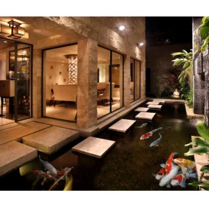 Tiểu Cảnh Hồ Cá Koi Bên Lối Đi Nhà Phố