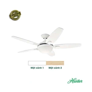 HUNTER CONTEMPO 50613