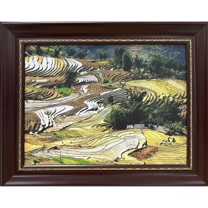 Ảnh Chụp - Y Tý Mùa Nước Đổ - ADC180 - Phan Thị Thu Hương