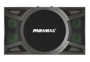Loa Paramax P1000