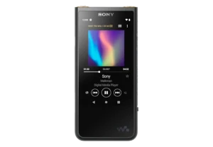 Máy nghe nhạc Sony Walkman NW-ZX507/BM E