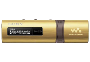 Máy nghe nhạc Sony Walkman NWZ-B183F/NCE