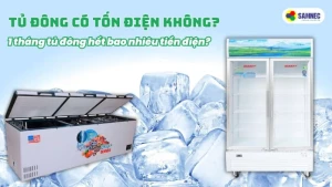 Tủ đông có tốn điện không? 1 tháng tủ đông hết bao nhiêu tiền điện?