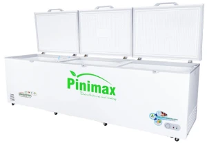 Tủ đông Pinimax Inverter 900 lít PNM119AF3  TẠM HẾT HÀNG