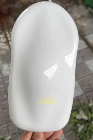 1.0 Kg - Sơn 2K trắng bóng trên phào chỉ PU, PS, thạch cao và bê tông