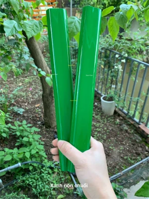 1.0 Kg - Sơn kính xanh lá non