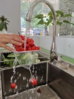 Vòi chậu rửa chén nóng lạnh FX-639C