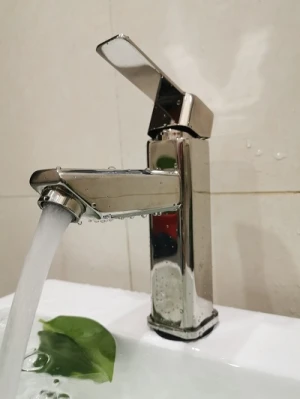 Vòi lavabo nóng lạnh inox 304 FX-538V