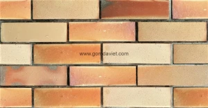 Gạch cổ ốp tường 21