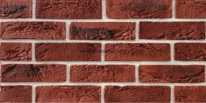 Gạch cổ ốp tường 24