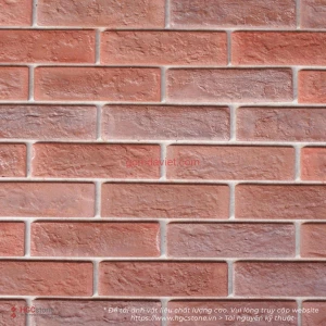 GẠCH GIẢ CỔ MÀU NÂU T2