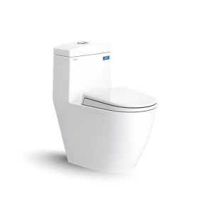 Bàn cầu một khối V199