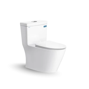 Bàn cầu một khối V62