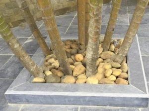 Đá bó gốc cây 12x20x100cm