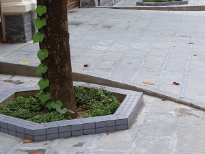 Đá bó gốc cây lục giác 15x18x100cm