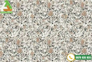 Đá granite tím hoa cà 30x60cm dày 2cm khò nhám