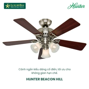 HUNTER BEACON HILL 24902