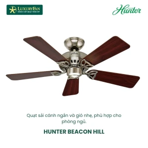 HUNTER BEACON HILL 24902NL