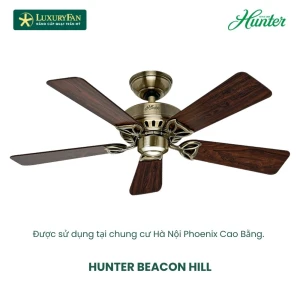 HUNTER BEACON HILL 24904NL