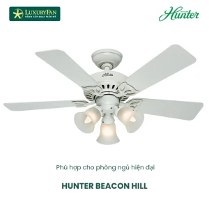 HUNTER BEACON HILL 24905
