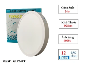 ĐÈN ỐP TRẦN NỔI 24W