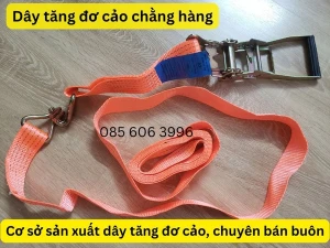 Báo giá Dây tăng đơ cảo chằng hàng 3T x 6m giá rẻ