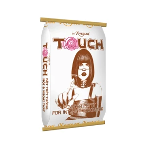 Bột trét 2in1 Mykolor Touch Power Putty For Int & Ext