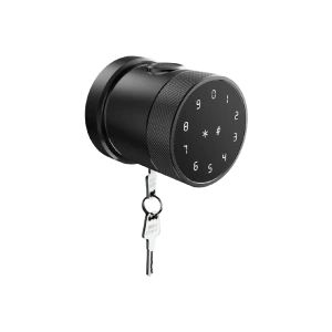 Khóa vân tay FP8193 / APP