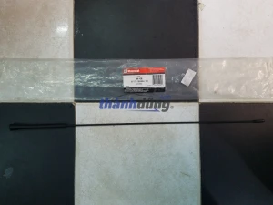 ĂNG TEN FORD ECOSPORT, FIESTA