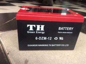 Ắc quy xe điện th 12A-48V