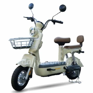 Xe đạp điện Bluera Camelo i8