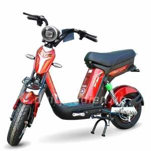 Xe đạp điện Bluera Cap X Max I