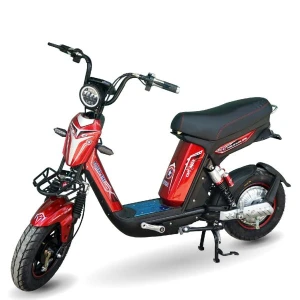 Xe đạp điện Bluera Cap X Max II