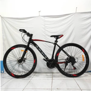 Xe đạp thể thao Vicky 700c