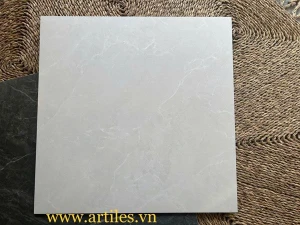 Gạch 60x60 vân đá xám trắng Art66003