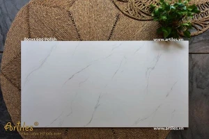 Gạch Gạch khổ lớn 800x1600mm P81601