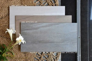 Gạch ốp lát 30x60 vân đá Art306M