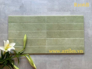 Gạch ốp tường trang trí 30x60cm ArtR106B