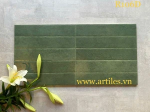 Gạch ốp tường trang trí 30x60cm ArtR106D